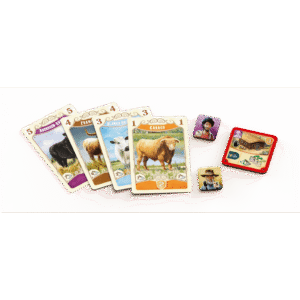 Great Western Trail: Argentyna (edycja polska)