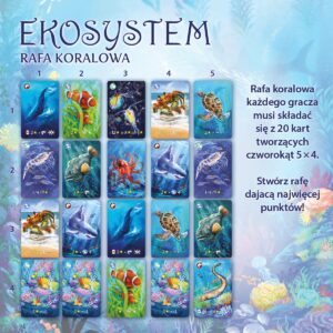 Ekosystem 2 - Rafa koralowa