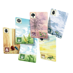 Łąka