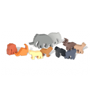 Zoo Tycoon: Gra Planszowa
