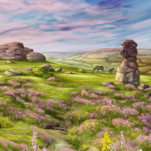 Leśne rozdanie: Dartmoor (edycja polska)