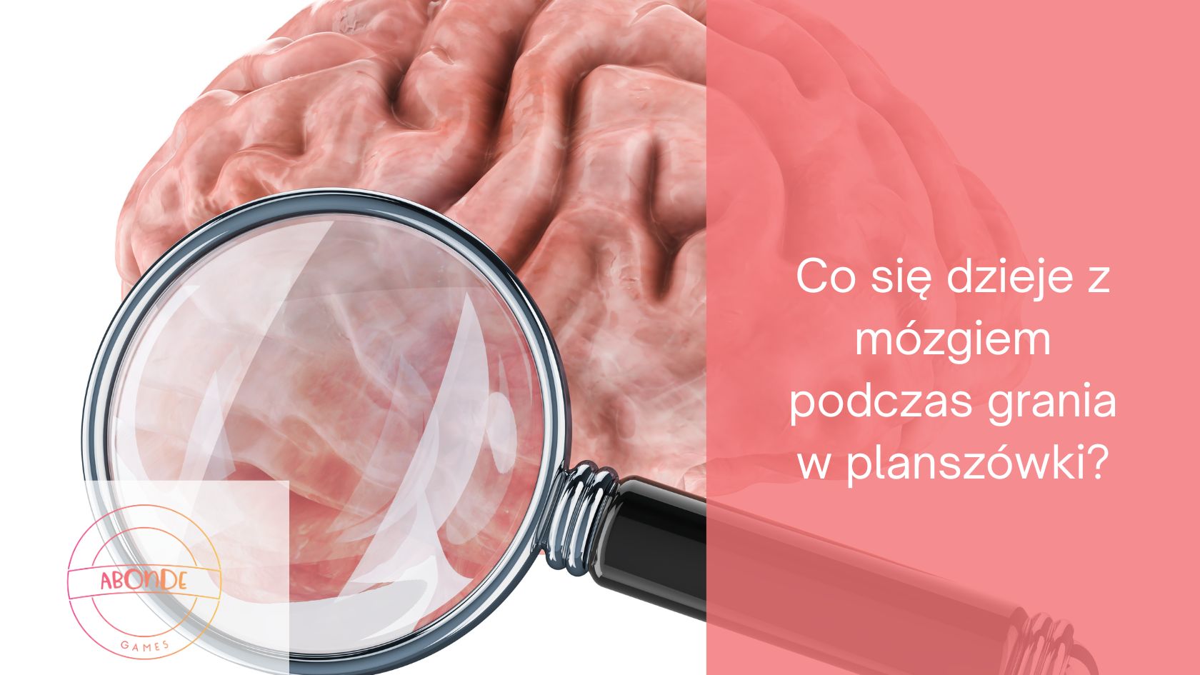 Co się dzieje z mózgiem podczas grania w planszówki? Nauka i korzyści