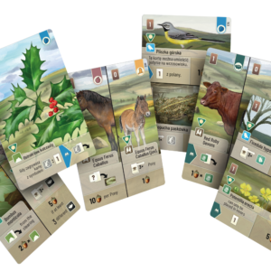 Leśne rozdanie: Dartmoor - Exmoor