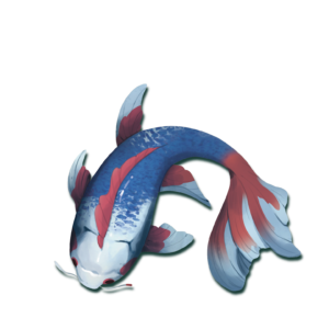 Koi (edycja polska)