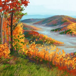 Leśne rozdanie: Smoky Mountains