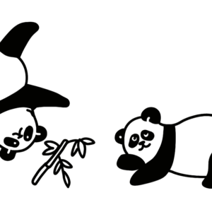 Panda Panda (edycja polska)